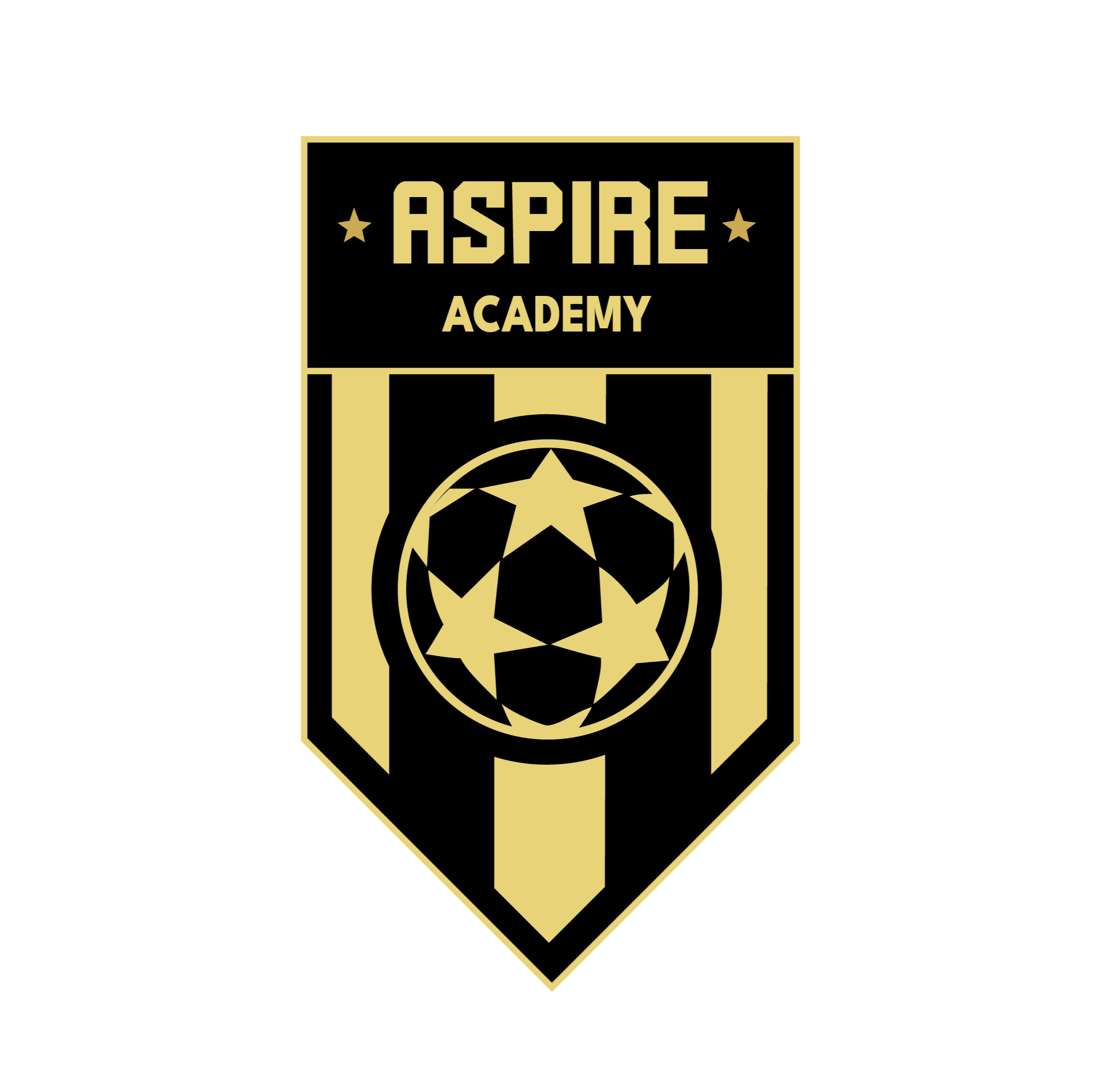 Aspire Academy logo