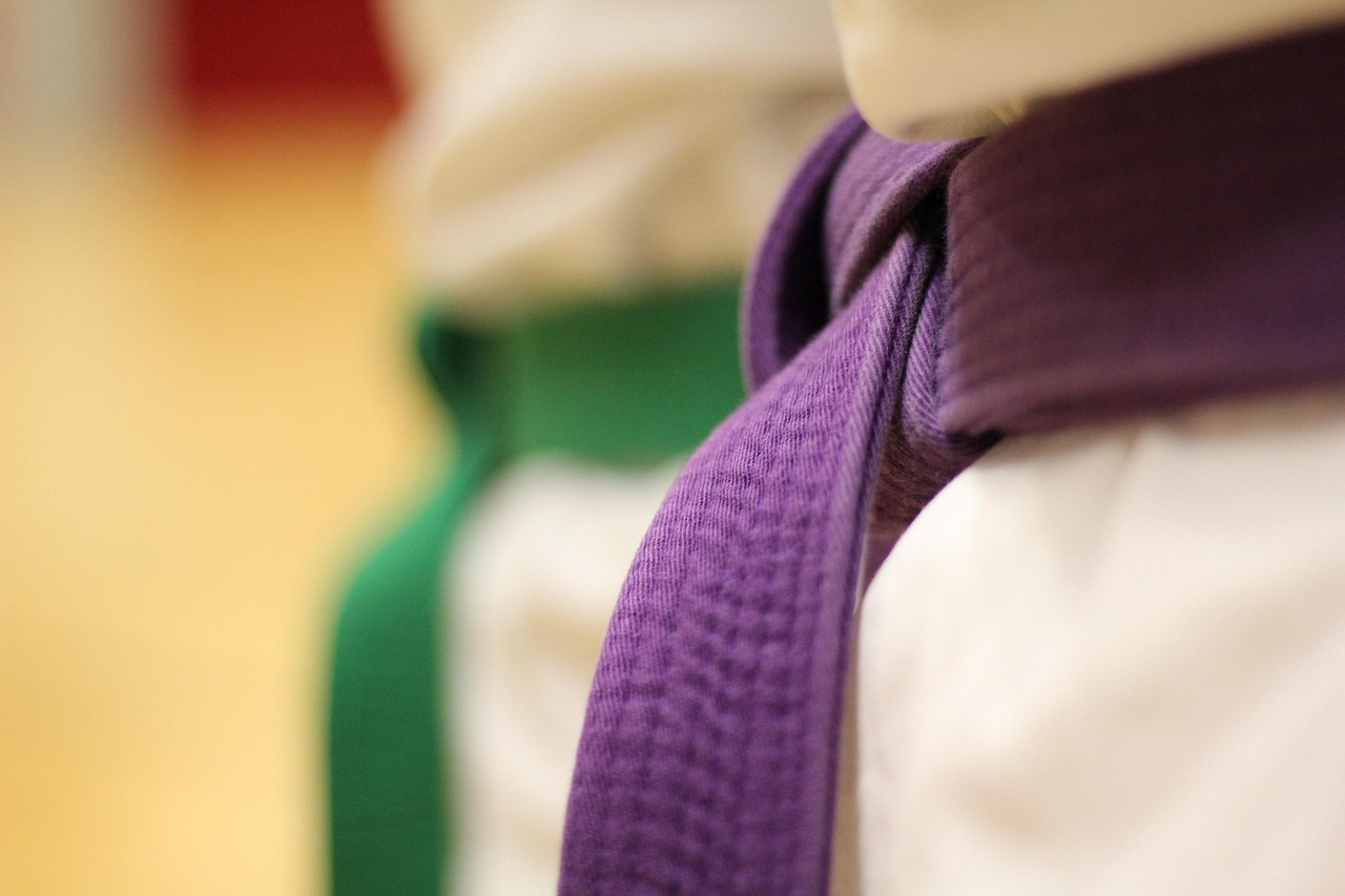 Martial Arts Academies